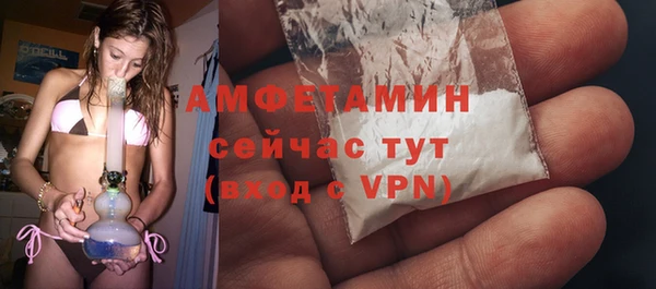 гашик Гусь-Хрустальный