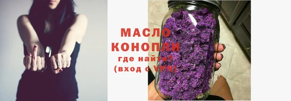 гашик Гусь-Хрустальный