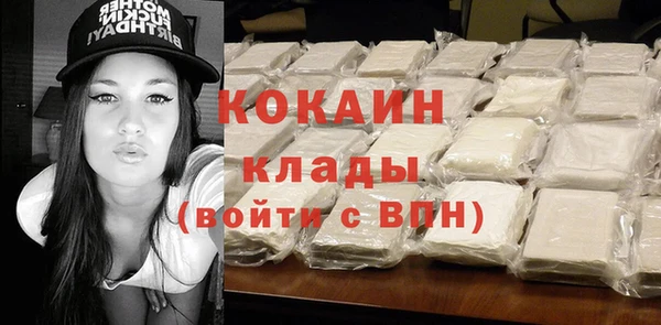 гашик Гусь-Хрустальный