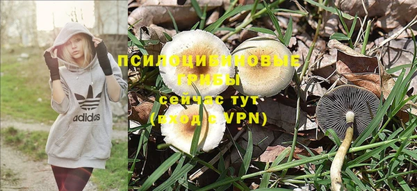 каннабис Новокубанск