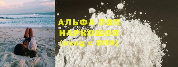гашик Гусь-Хрустальный