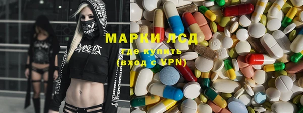 гашик Гусь-Хрустальный