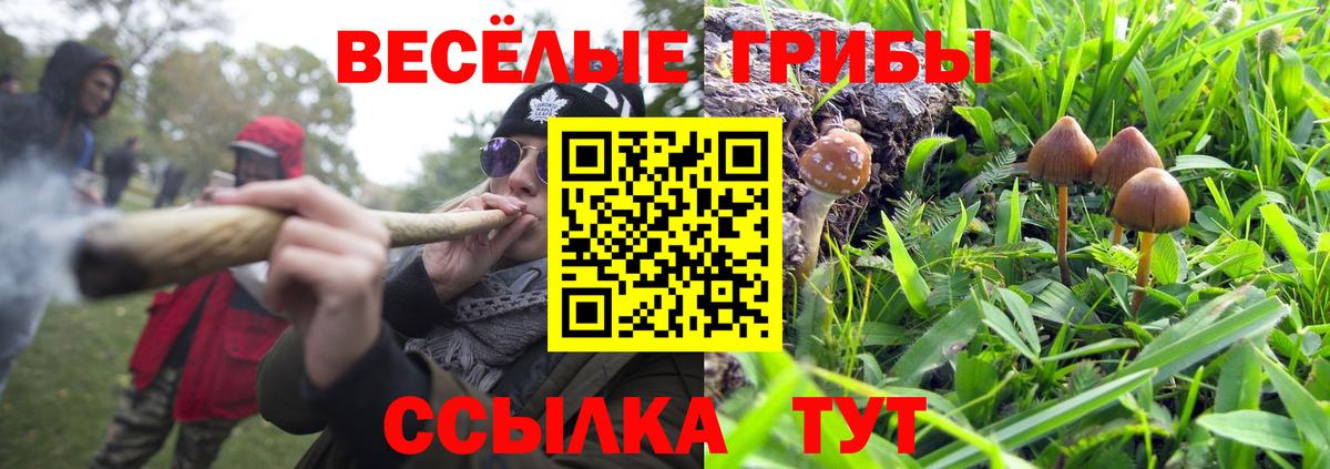 Галлюциногенные грибы Psilocybe  Вход с VPN  Мурино  Галлюциногенные грибы MAGIC MUSHROOMS 