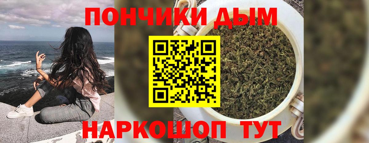 Конопля SATIVA & INDICA Мурино